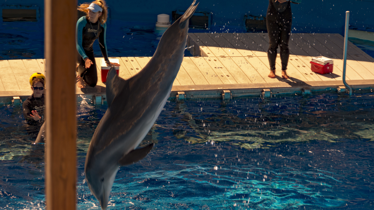 20160217-111417••Fort Walton Beach•Florida•USA